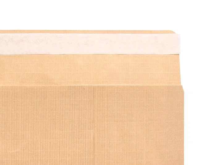 SAM Bolsas de Seguridad Kraft Marrón Armado 120 g 229x324 mm (100 unidades) SAM Bolsas de Seguridad Kraft Marrón Armado 120 g 229x324 mm (100 unidades)