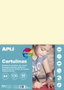 APLI Cartulina A4 Colores Pastel Surtidos 170 g/m²