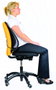 Fellowes Respaldo Ergonómico Mesh Office Suites 9191301