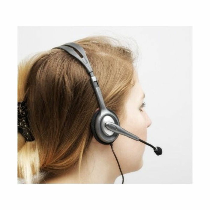 Logitech H110 Stereo Headset Gris/Gris Oscuro con Micrófono Giratorio Logitech H110 Stereo Headset Gris/Gris Oscuro con Micrófono Giratorio