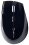 Hiditec Dendro MOU010002 Ratón Inalámbrico 2000 DPI