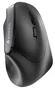 Cherry MW 4500 Ratón Ergonómico Inalámbrico Negro