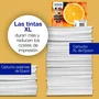 Epson Cartucho Magenta Claria Premium 33 T33434012
