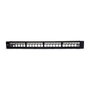 WP WPC-PAN-BUP24 Panel de parcheo 24 puertos 1U U/UTP