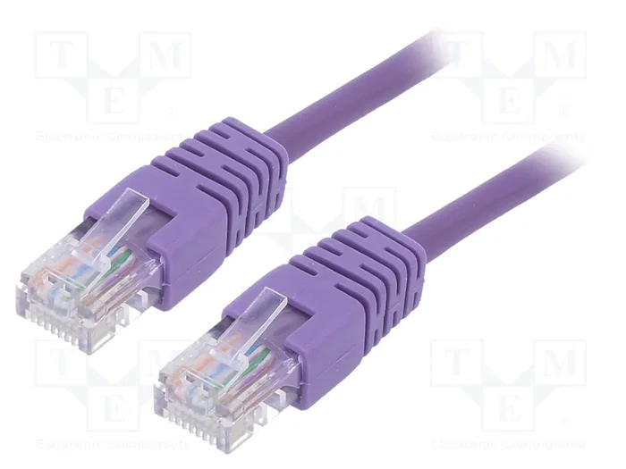 Gembird Cable de Red Cat5e U/UTP 0,25 m Púrpura