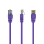 Gembird Cable de Red Cat5e U/UTP 0,25 m Púrpura