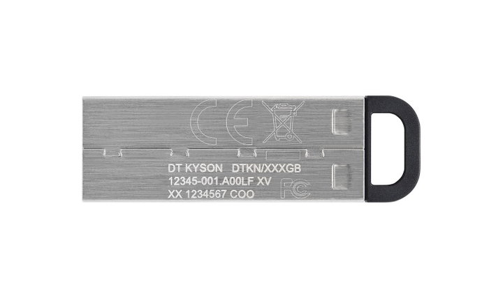 Kingston DataTraveler Kyson 256 GB Plata Kingston DataTraveler Kyson 256 GB Plata