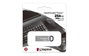Kingston DataTraveler Kyson 256 GB Plata