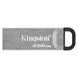 Kingston DataTraveler Kyson 256 GB Plata