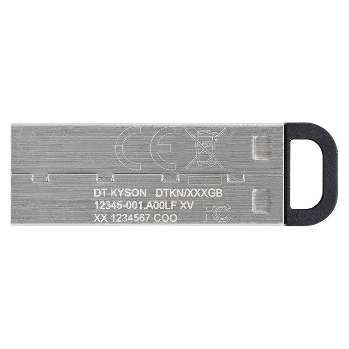 Kingston DataTraveler Kyson 256 GB Plata Kingston DataTraveler Kyson 256 GB Plata