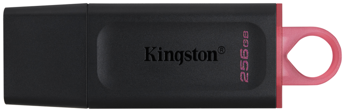 Kingston DataTraveler Exodia 256 GB Negro/Rosa