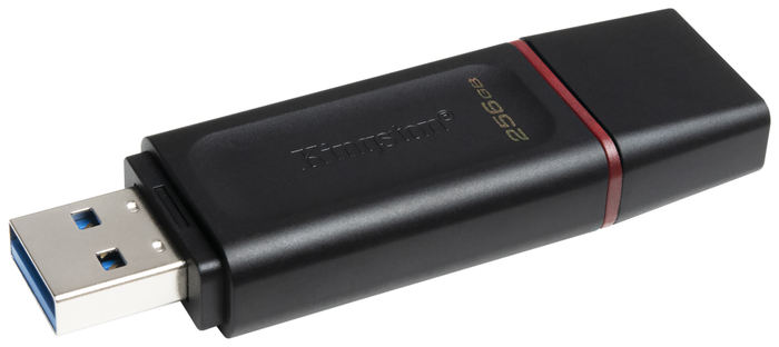 Kingston DataTraveler Exodia 256 GB Negro/Rosa