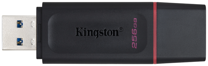 Kingston DataTraveler Exodia 256 GB Negro/Rosa