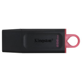 Kingston DataTraveler Exodia 256 GB Negro/Rosa