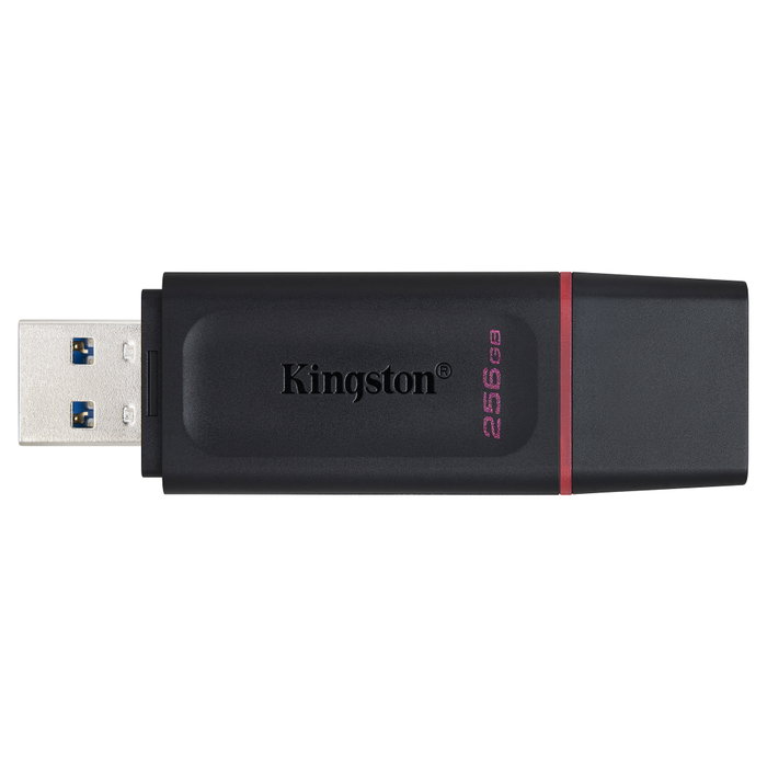 Kingston DataTraveler Exodia 256 GB Negro/Rosa