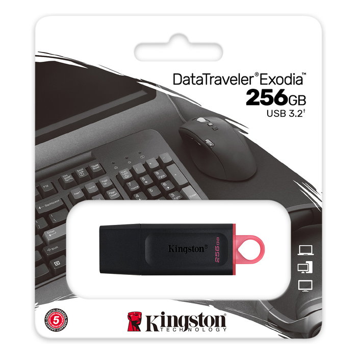 Kingston DataTraveler Exodia 256 GB Negro/Rosa