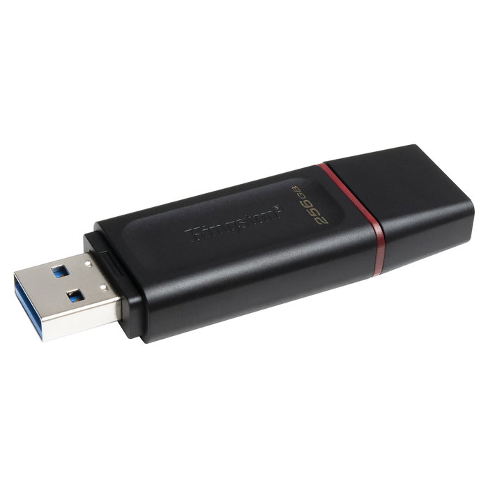 Kingston DataTraveler Exodia 256 GB Negro/Rosa