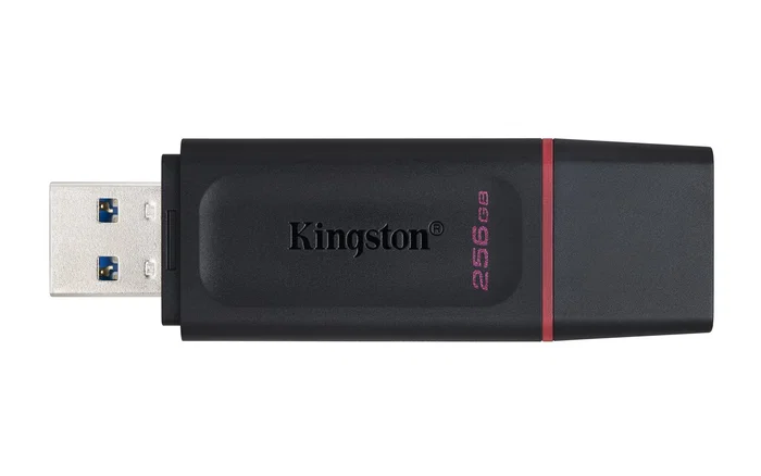 Kingston DataTraveler Exodia 256 GB USB 3.2 Gen 1 Negro/Rosa