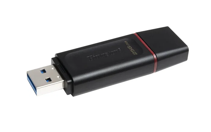 Kingston DataTraveler Exodia 256 GB USB 3.2 Gen 1 Negro/Rosa