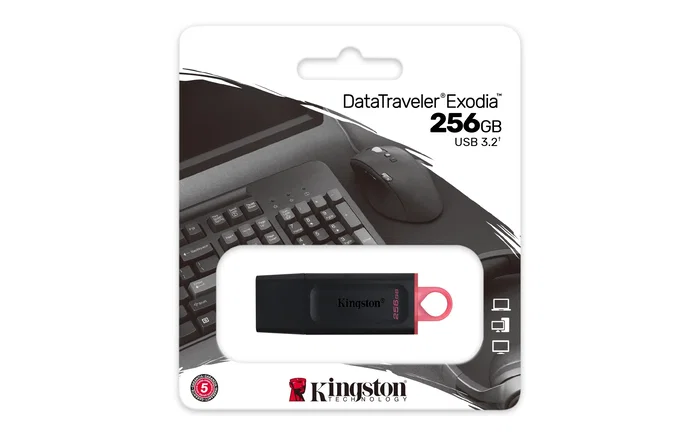 Kingston DataTraveler Exodia 256 GB USB 3.2 Gen 1 Negro/Rosa
