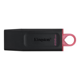 Memoria USB Kingston DataTraveler DTX Negro Memoria USB