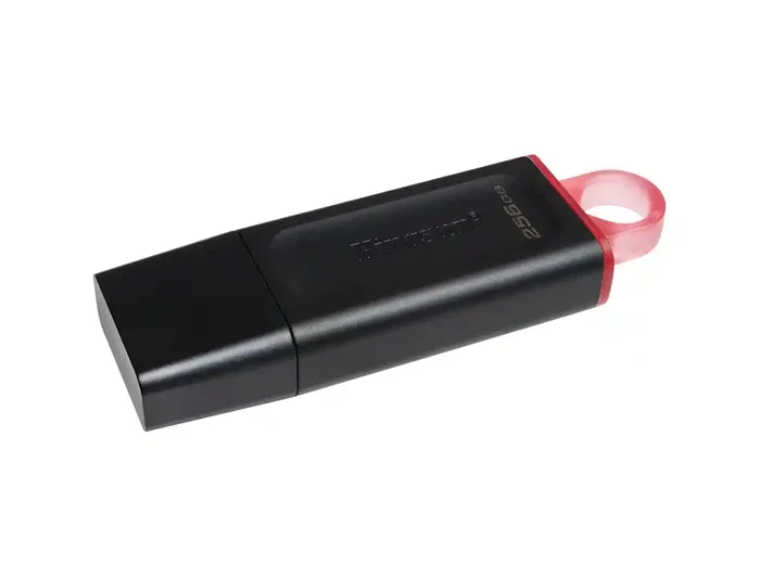 Kingston DataTraveler Exodia 256 GB Negro/Rosa