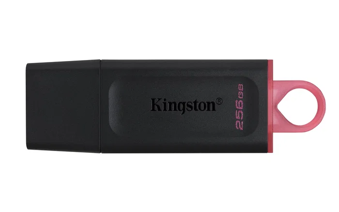 Kingston DataTraveler Exodia 256 GB Negro/Rosa