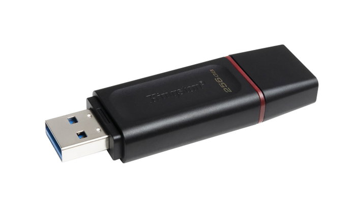 Kingston DataTraveler Exodia 256 GB Negro/Rosa