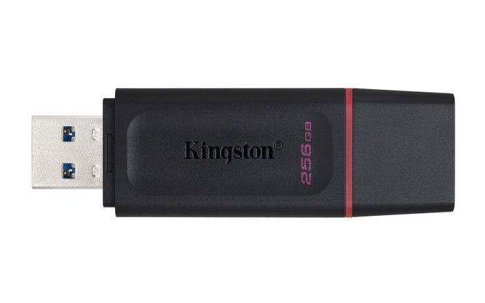 Kingston DataTraveler Exodia 256 GB Negro/Rosa
