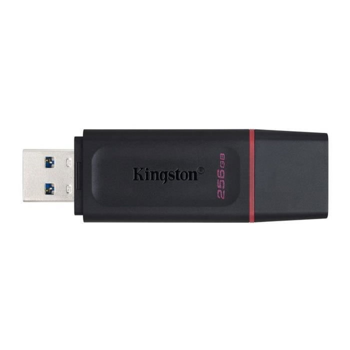 Kingston DataTraveler Exodia 256 GB Negro/Rosa