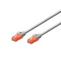 Ewent Cable de red Cat6 UTP 3m Gris