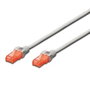 Ewent Cable de red Cat6 U/UTP 5m Rojo