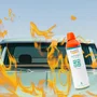 Ewent EW5621 Extintor de Incendios Químico Húmedo Portátil para Clase A, B, C, E - Ideal para Coche, Caravana, Camión y Embarcación