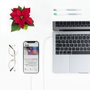 Nanocable Cable Lightning a USB-C, 50 cm, Blanco