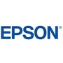 Epson Multipack 503 de 4 Colores (C13T09Q64010)