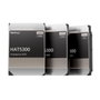 Synology HAT5300-16T 16 TB 7200 RPM 3.5 inch SATA III