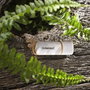 Intenso Green Line 128 GB USB 3.2 Gen 1 (Beige/Marrón)