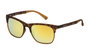 Police SK0445149EG Gafas de sol marrón