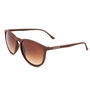 Londonbe LB79928511113 Gafas de Sol Marrón Degradado