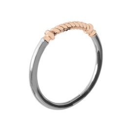 Paul Hewitt Anillo PH-FR-PRO-SR-50 Dorado T50