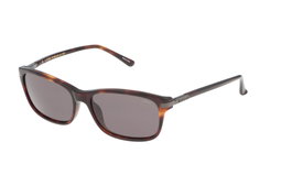 Lozza SL4029M564APP Gafas de sol unisex Avana