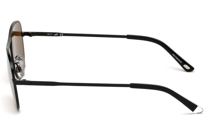 Web Eyewear WE0199-02G con cristal marrón