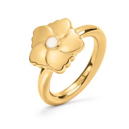 Folli Follie Anillo Dorado para Mujer 3R19T010YW-52