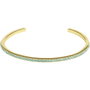 Adore Allure Skinny Pave Bangle (GL/LT TQ) Verde