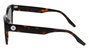 Converse CV501S-ALL-STAR-239 Gafas de sol Marrón
