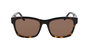 Converse CV501S-ALL-STAR-239 Gafas de sol Marrón