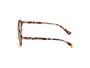 Web Eyewear WE0266-5155S con cristal rojo y detalles marrones