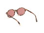 Web Eyewear WE0266-5155S con cristal rojo y detalles marrones