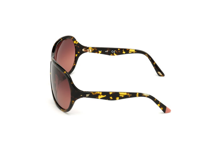 Web Eyewear WE0290-6552F con cristales marrones degradados Web Eyewear WE0290-6552F con cristales marrones degradados