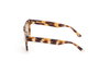 Web Eyewear WE0314-0041F para Hombre con Cristales Marrones Degradados